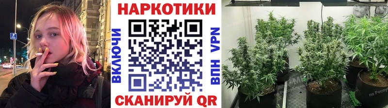 МДМА Сочи