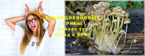 Альфа ПВП Михайловка