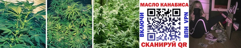 Купить  Сочи  ТГК THC oil 