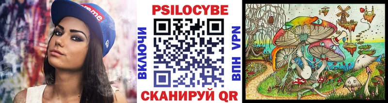 Купить где  Сочи  Псилоцибиновые грибы Magic Shrooms 